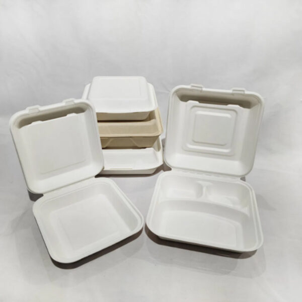 sugarcane bagasse tableware - Image 2