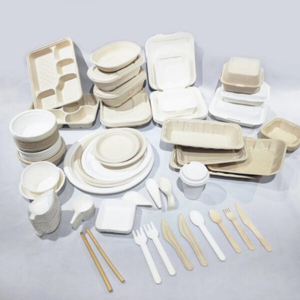 sugarcane bagasse tableware - Image 4