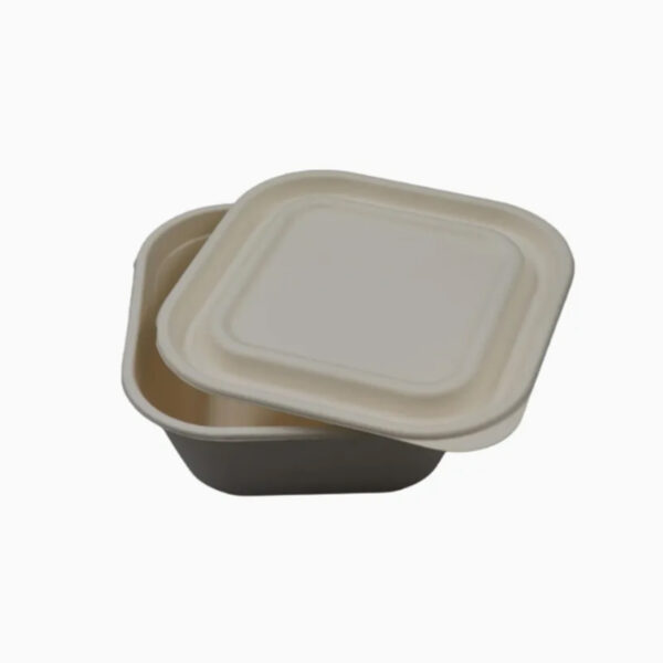 Sugarcane Bagasse Paper Compostable Unbleached - Image 5