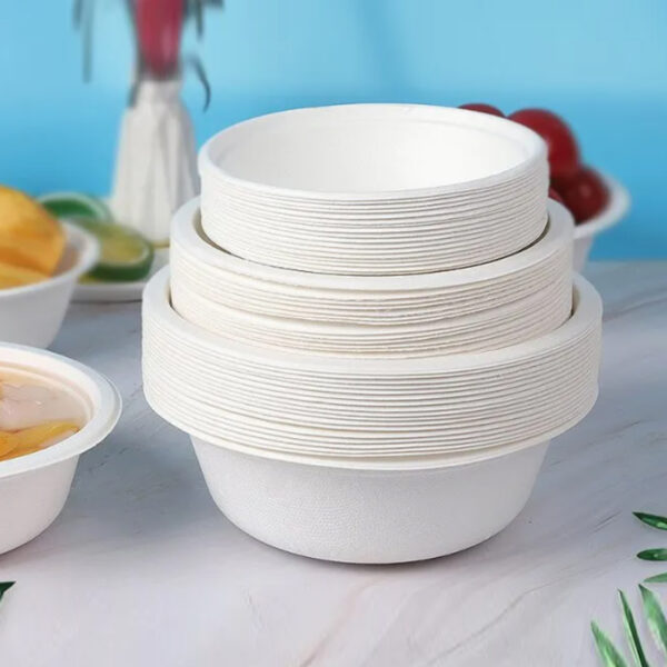 sugarcane bagasse tableware - Image 5