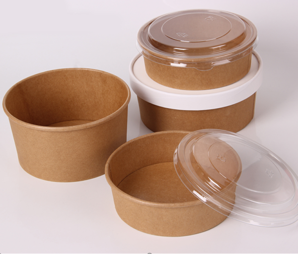 Disposable Craft Paper bowls